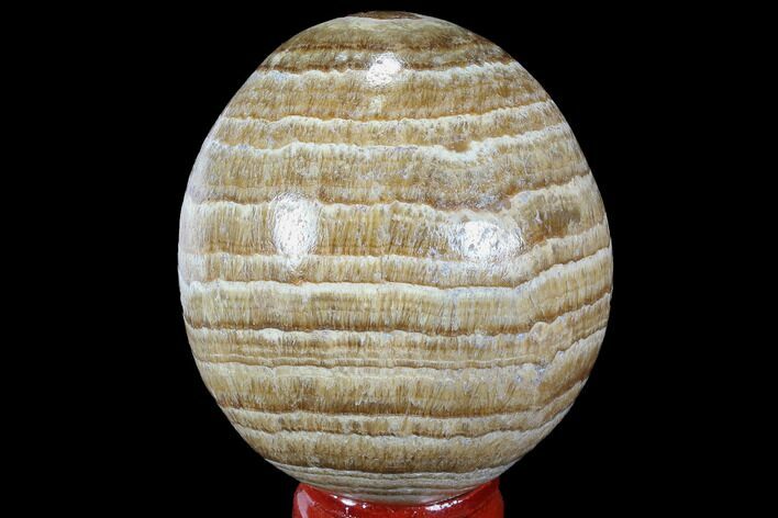Polished, Banded Aragonite Egg - Morocco #98448
